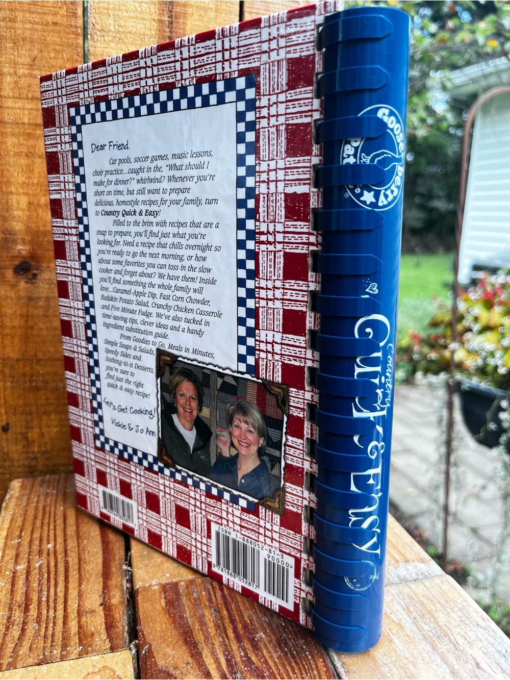 Goose Berry Patch Country Quick & Easy Cookbook - Red Plaid - Picture 2 of 12